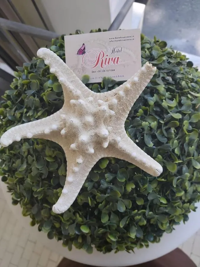 Hotel Riva Rimini
